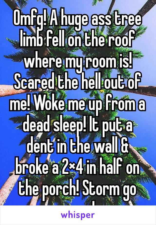 Omfg! A huge ass tree limb fell on the roof where my room is! Scared the hell out of me! Woke me up from a dead sleep! It put a dent in the wall & broke a 2×4 in half on the porch! Storm go away!