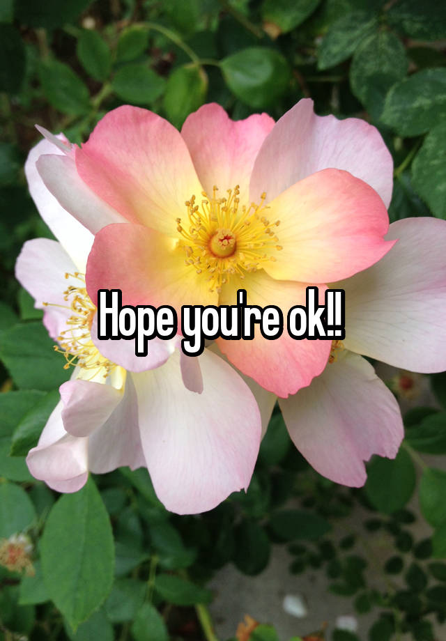 hope-you-re-ok