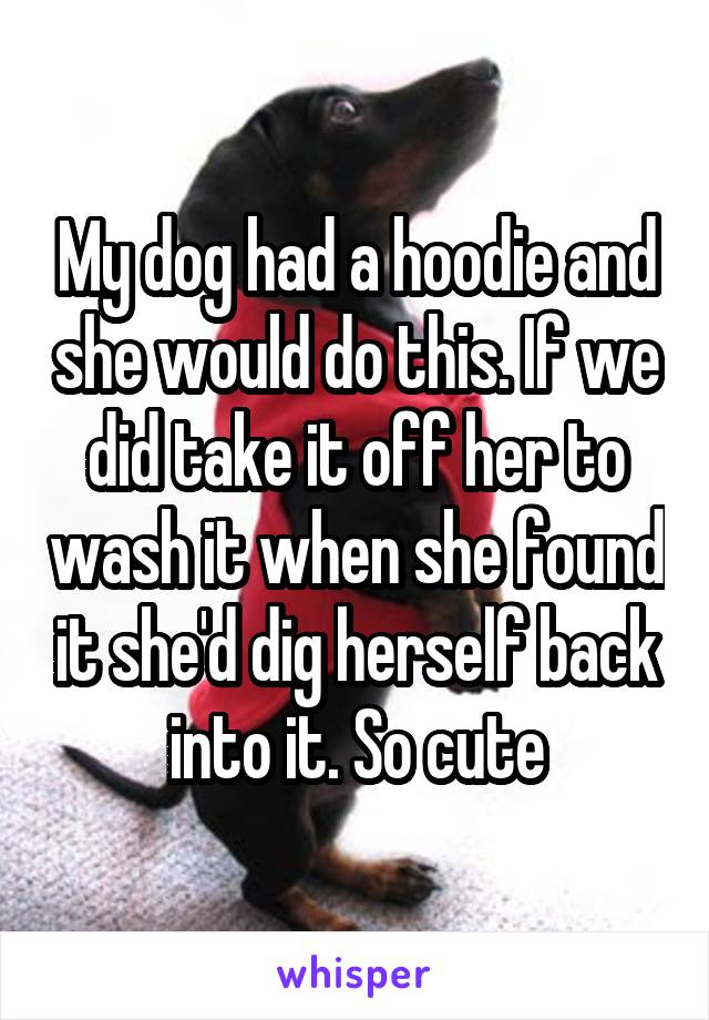 My dog had a hoodie and she would do this. If we did take it off her to wash it when she found it she'd dig herself back into it. So cute