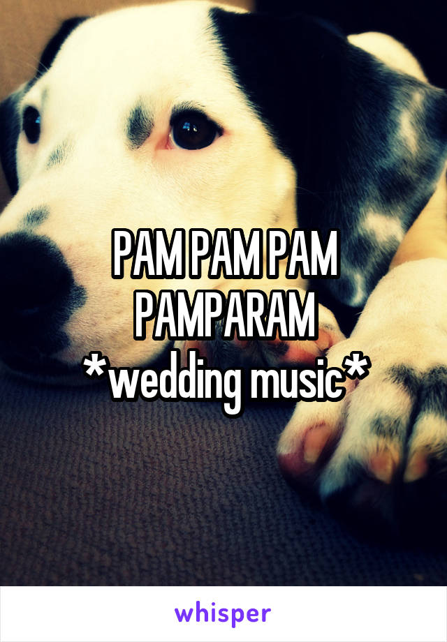 PAM PAM PAM PAMPARAM
*wedding music*
