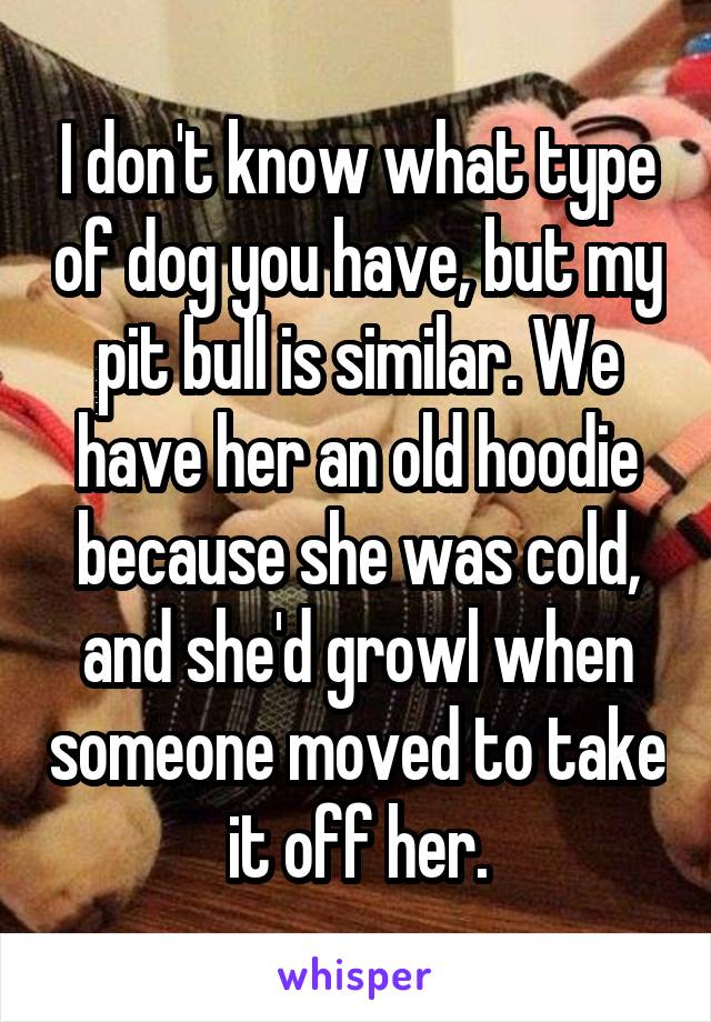 I don't know what type of dog you have, but my pit bull is similar. We have her an old hoodie because she was cold, and she'd growl when someone moved to take it off her.