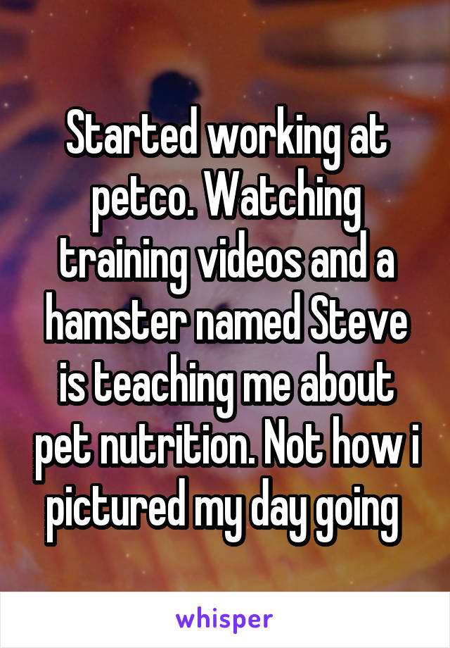 Started working at petco. Watching training videos and a hamster named Steve is teaching me about pet nutrition. Not how i pictured my day going 