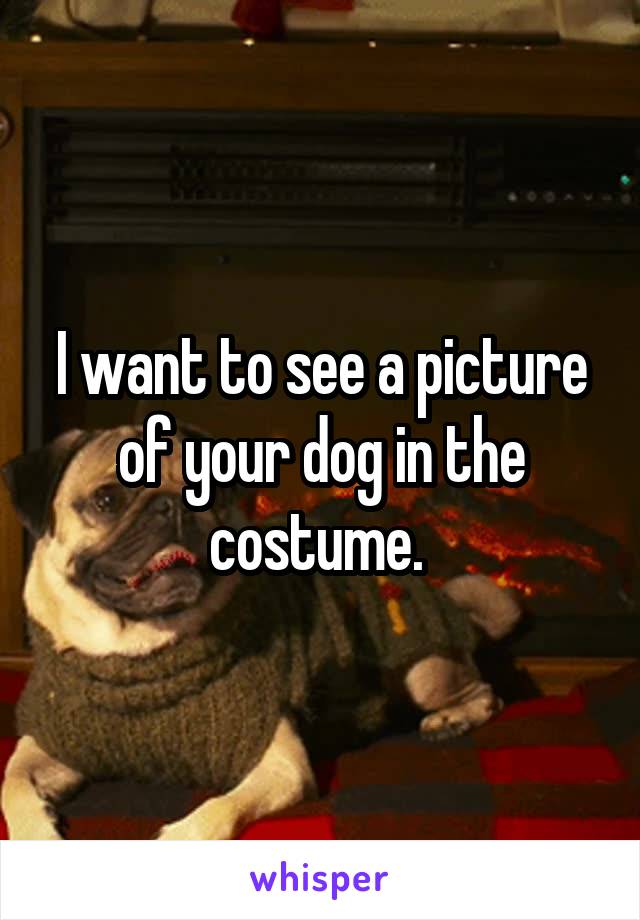 I want to see a picture of your dog in the costume. 