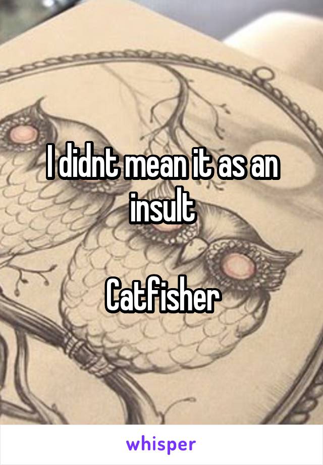 I didnt mean it as an insult

Catfisher