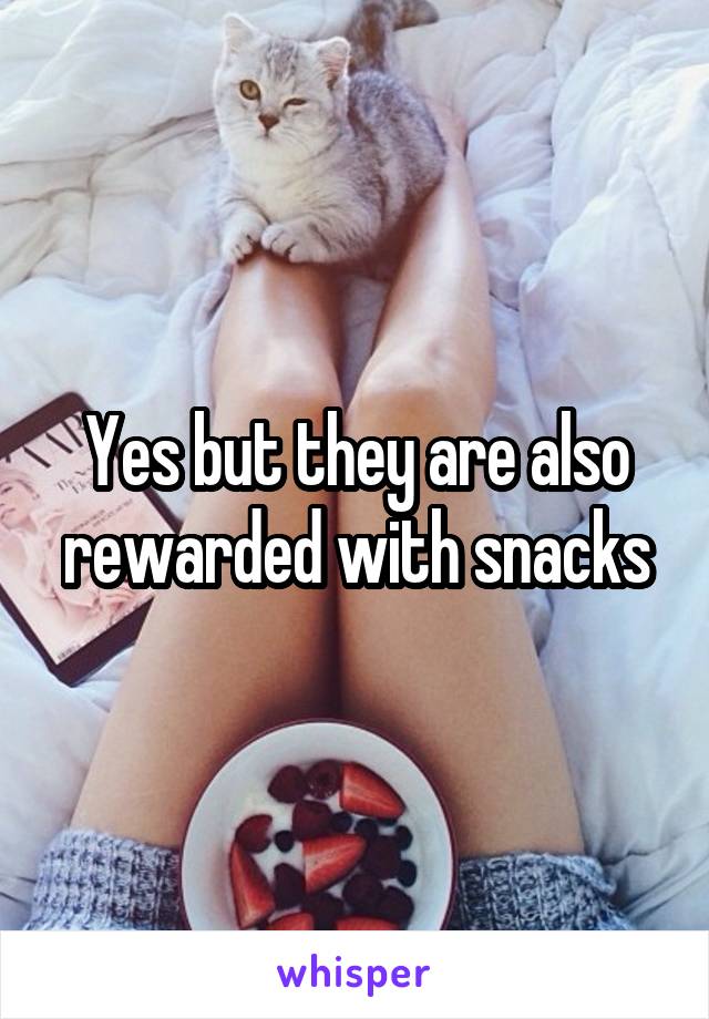 Yes but they are also rewarded with snacks