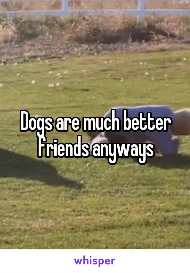 Dogs are much better friends anyways