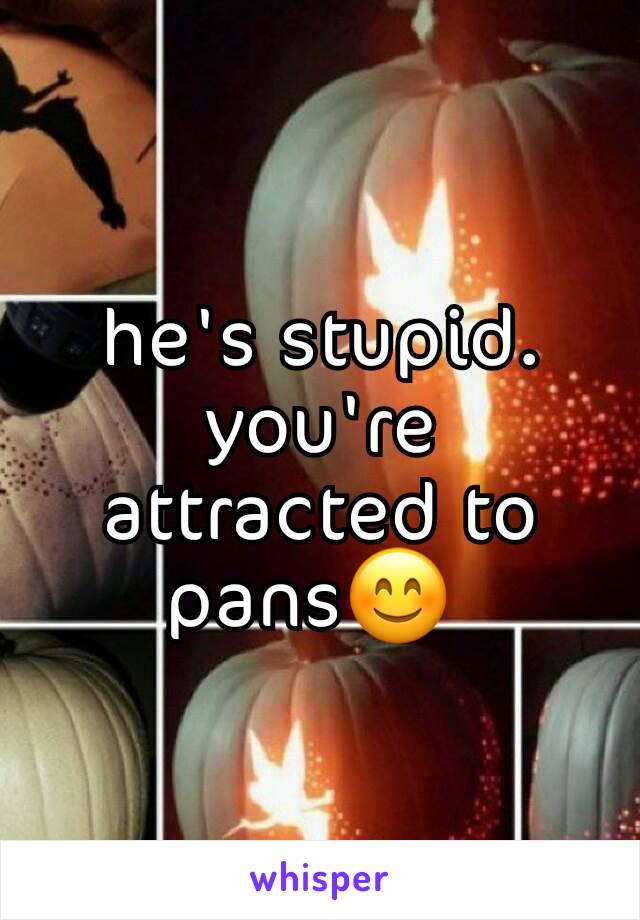 he's stupid. you're attracted to pans😊 