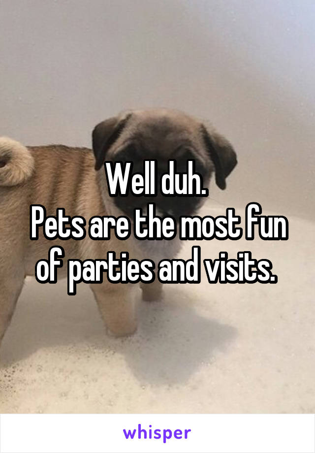Well duh. 
Pets are the most fun of parties and visits. 