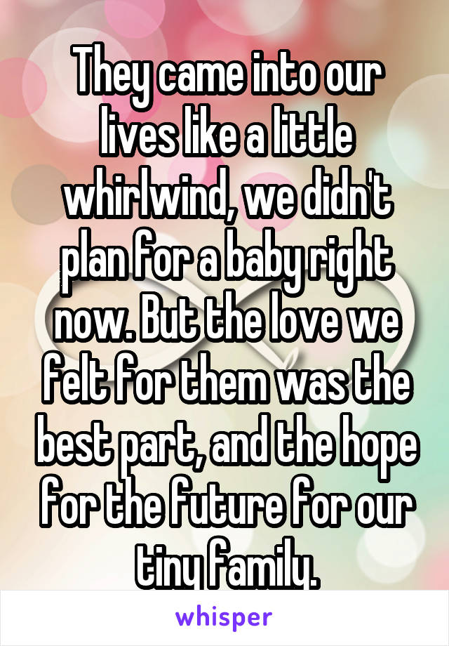 They came into our lives like a little whirlwind, we didn't plan for a baby right now. But the love we felt for them was the best part, and the hope for the future for our tiny family.