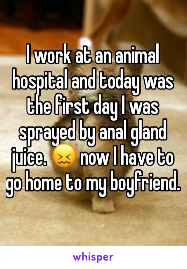 I work at an animal hospital and today was the first day I was sprayed by anal gland juice. 😖 now I have to go home to my boyfriend. 