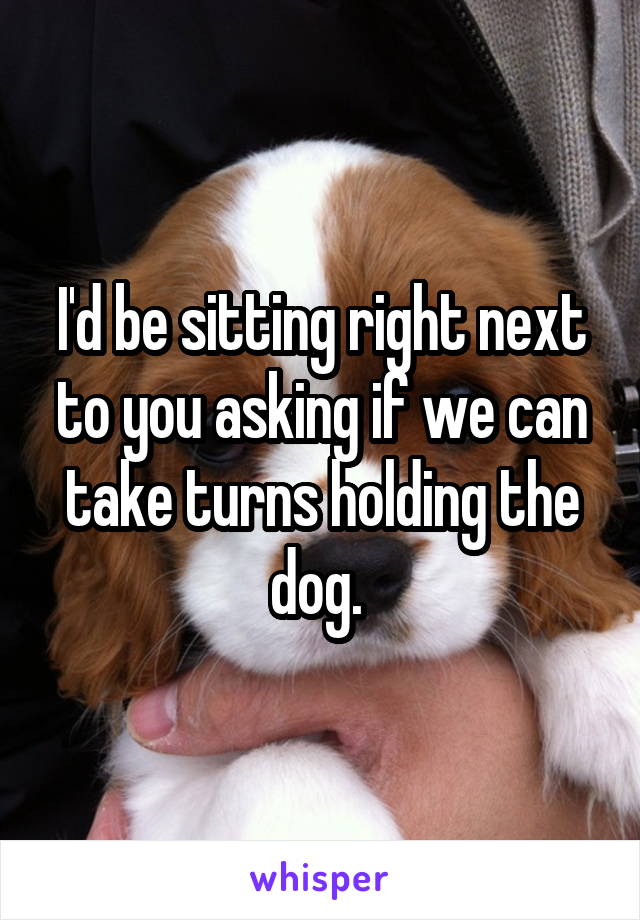 I'd be sitting right next to you asking if we can take turns holding the dog. 