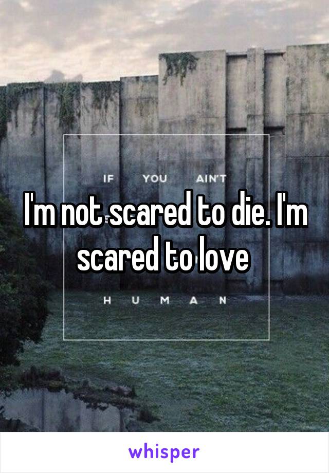 I'm not scared to die. I'm scared to love 