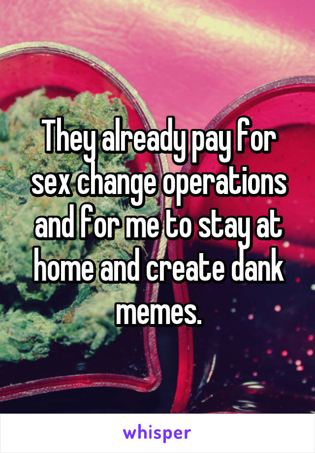 They already pay for sex change operations and for me to stay at home and create dank memes.