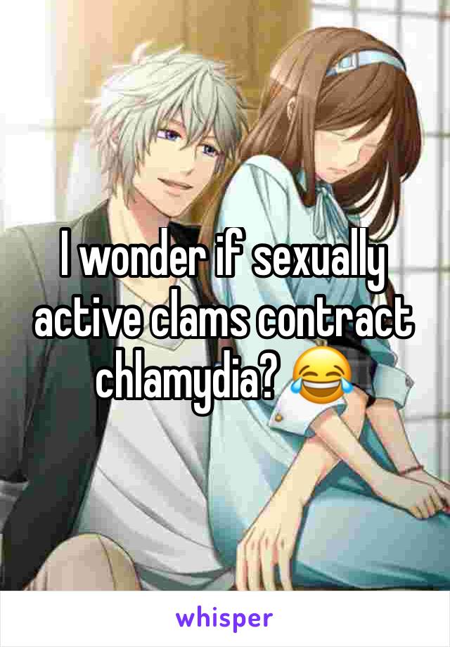 I wonder if sexually active clams contract chlamydia? 😂