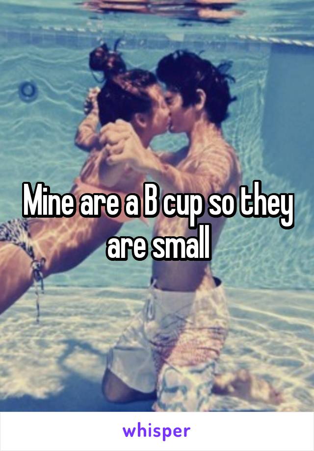 Mine are a B cup so they are small