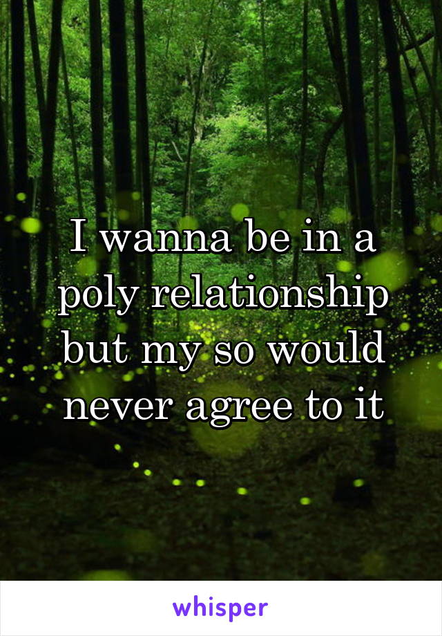 I wanna be in a poly relationship but my so would never agree to it