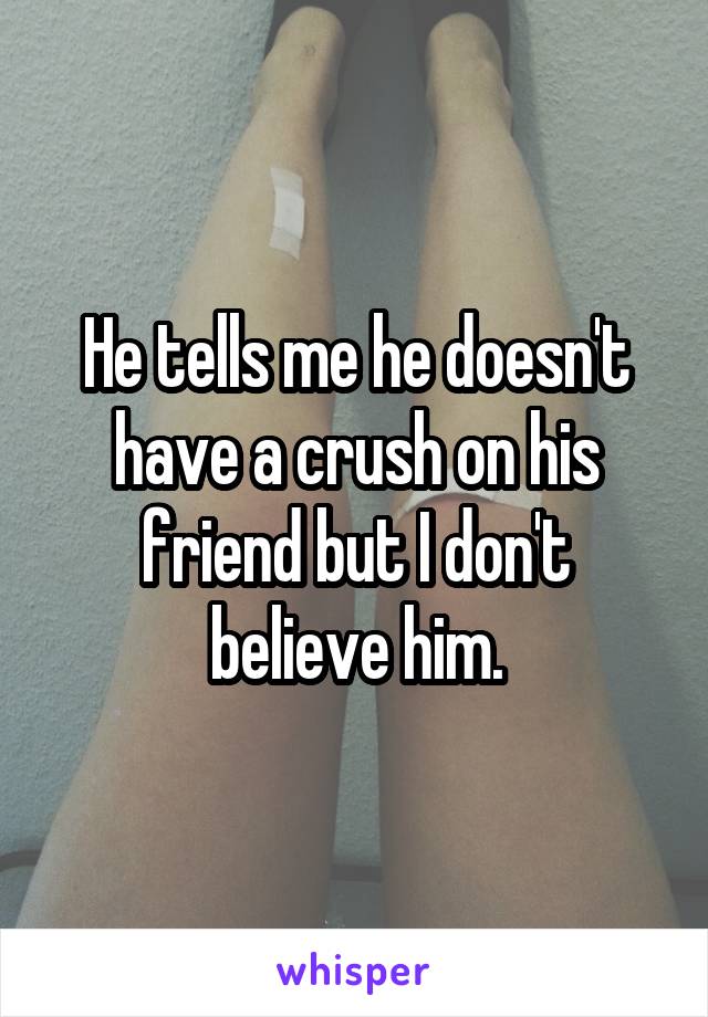 He tells me he doesn't have a crush on his friend but I don't believe him.