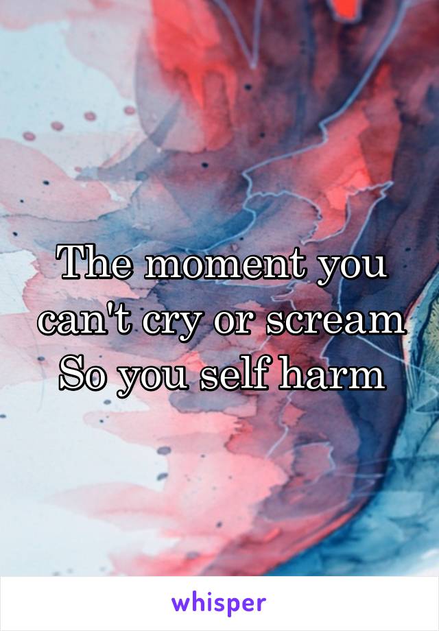 The moment you can't cry or scream
So you self harm