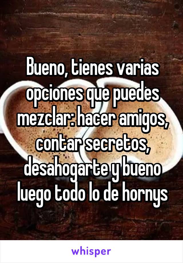 Bueno, tienes varias opciones que puedes mezclar: hacer amigos, contar secretos, desahogarte y bueno luego todo lo de hornys