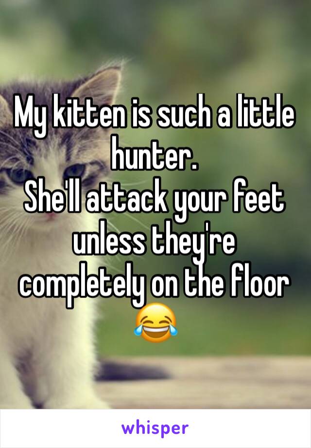 My kitten is such a little hunter. 
She'll attack your feet unless they're completely on the floor 😂