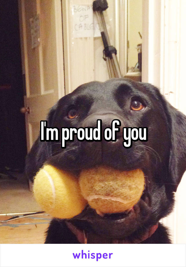 I'm proud of you