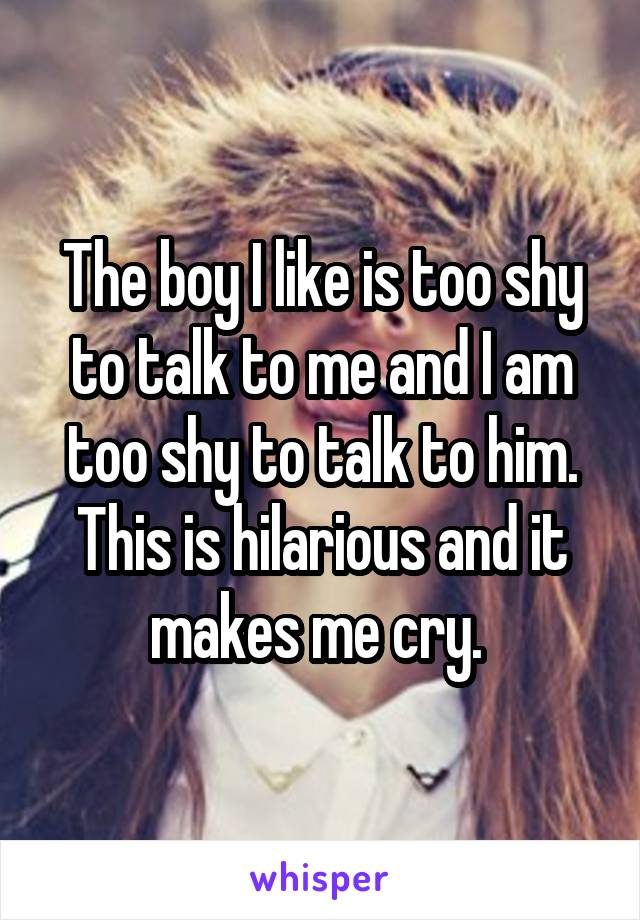 The boy I like is too shy to talk to me and I am too shy to talk to him. This is hilarious and it makes me cry. 