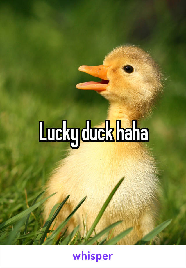 Lucky duck haha