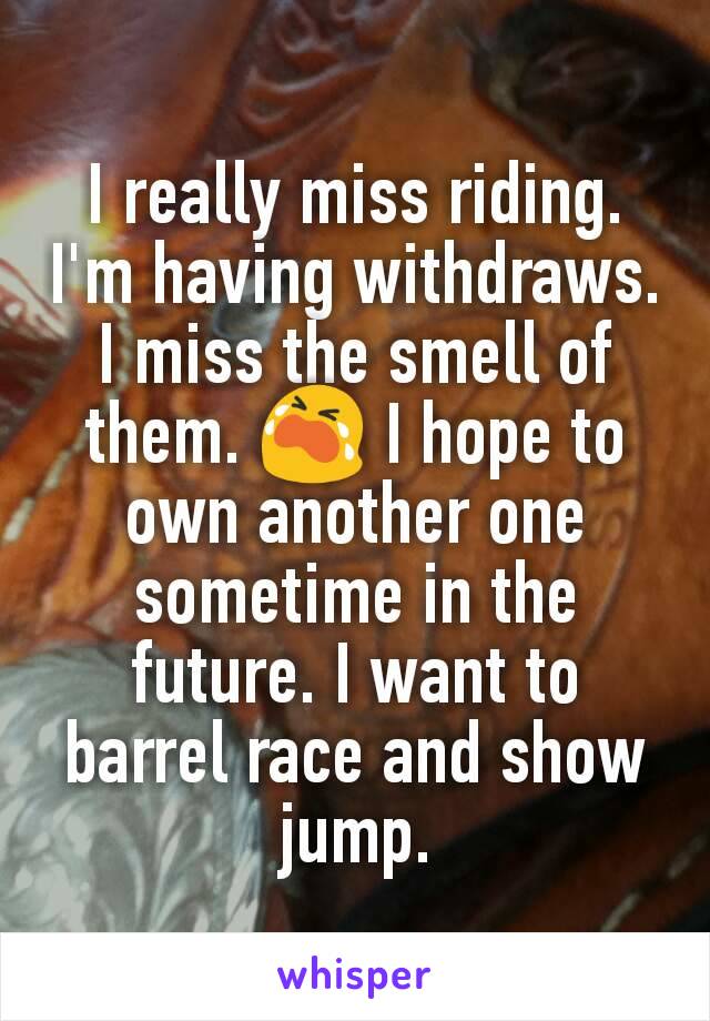 I really miss riding. I'm having withdraws. I miss the smell of them. 😭 I hope to own another one sometime in the future. I want to barrel race and show jump.