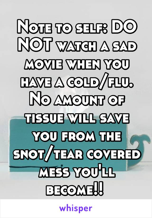 Note to self: DO NOT watch a sad movie when you have a cold/flu. No amount of tissue will save you from the snot/tear covered mess you'll become!! 