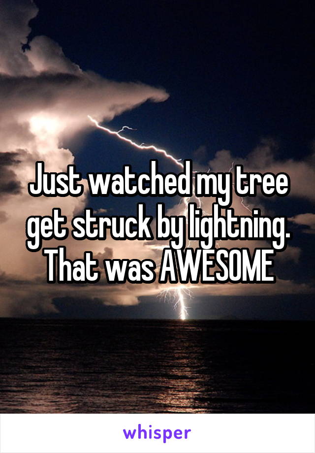 Just watched my tree get struck by lightning.
That was AWESOME