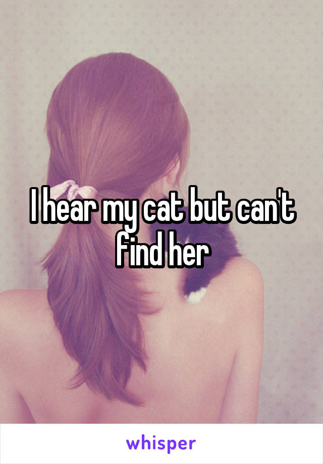 I hear my cat but can't find her