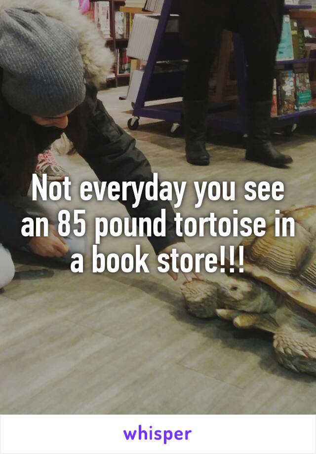 Not everyday you see an 85 pound tortoise in a book store!!!