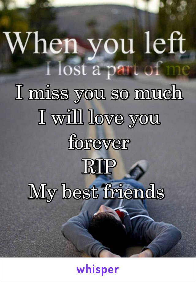 I miss you so much
I will love you forever
RIP
My best friends 