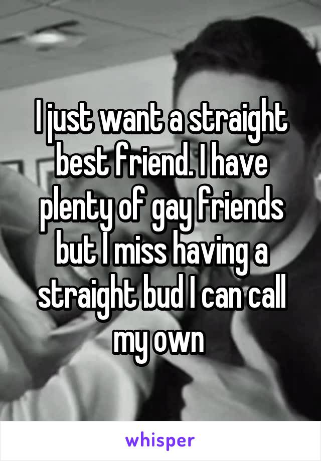 I just want a straight best friend. I have plenty of gay friends but I miss having a straight bud I can call my own 