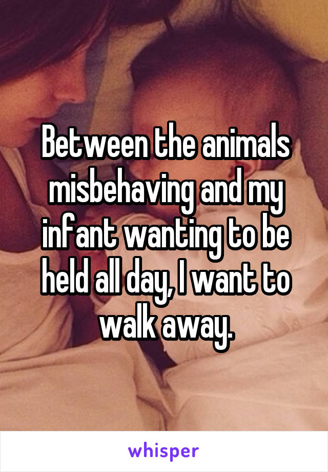 Between the animals misbehaving and my infant wanting to be held all day, I want to walk away.