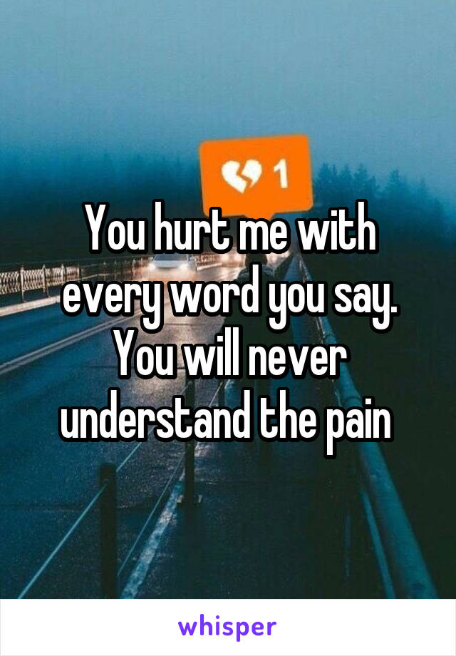 You hurt me with every word you say. You will never understand the pain 