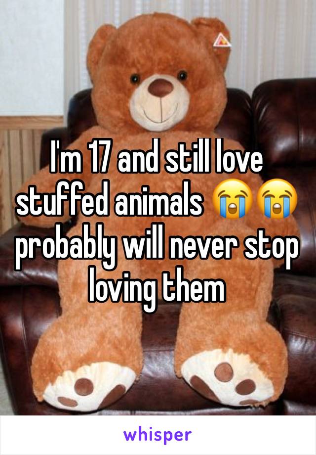 I'm 17 and still love stuffed animals 😭😭 probably will never stop loving them 