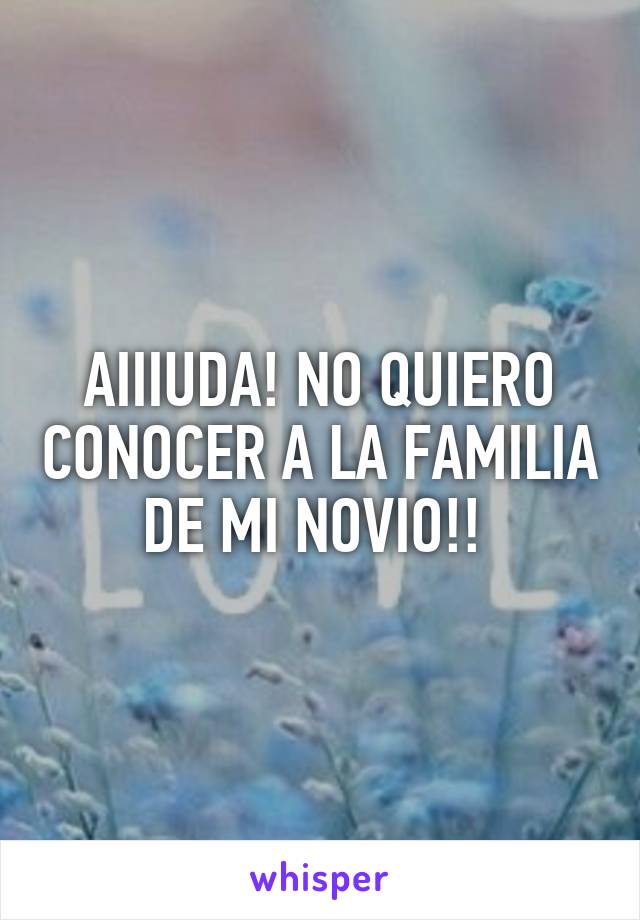 AIIIUDA! NO QUIERO CONOCER A LA FAMILIA DE MI NOVIO!! 