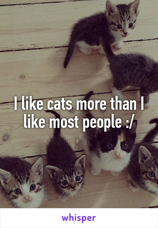 I like cats more than I like most people :/