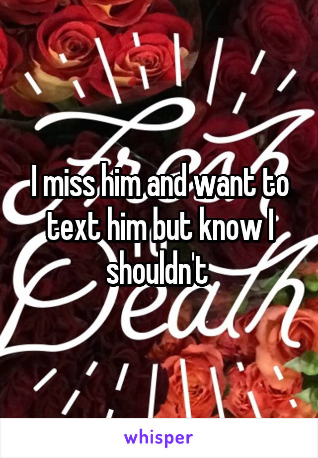 I miss him and want to text him but know I shouldn't 