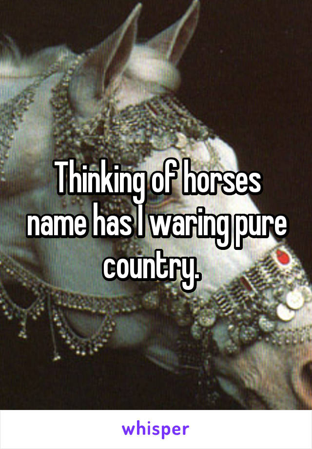 Thinking of horses name has I waring pure country.  