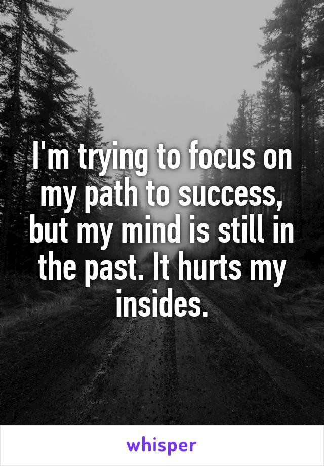 I'm trying to focus on my path to success, but my mind is still in the past. It hurts my insides.