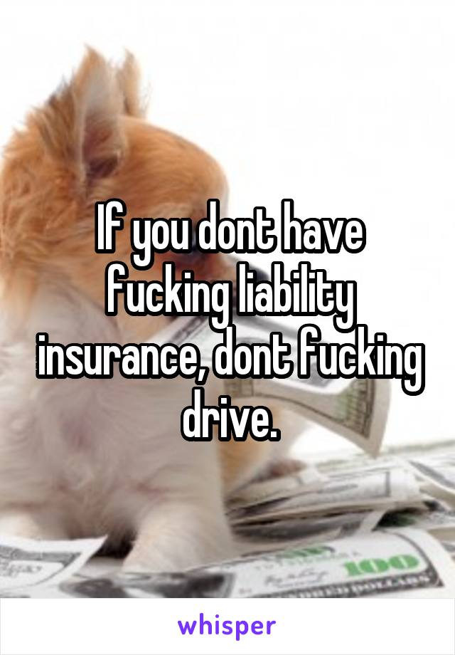 If you dont have fucking liability insurance, dont fucking drive.