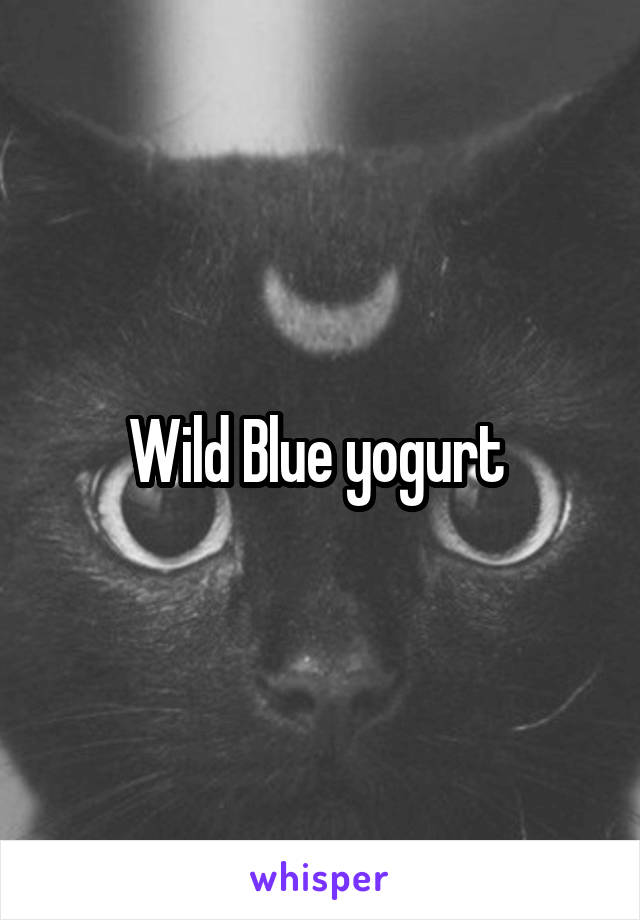 Wild Blue yogurt 