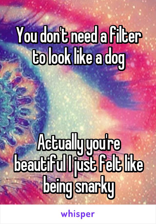 You don't need a filter to look like a dog



Actually you're beautiful I just felt like being snarky