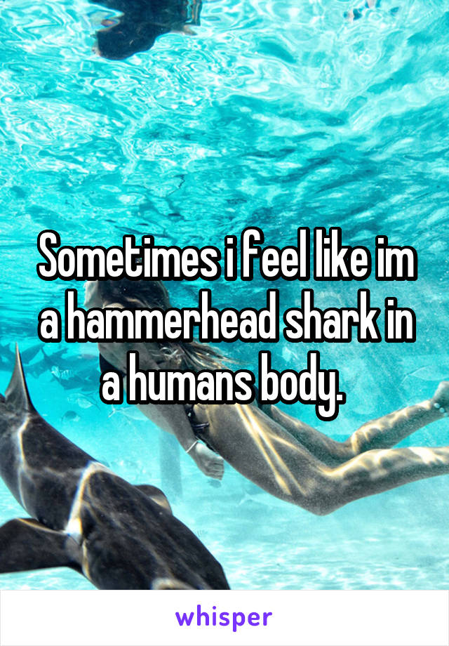 Sometimes i feel like im a hammerhead shark in a humans body. 