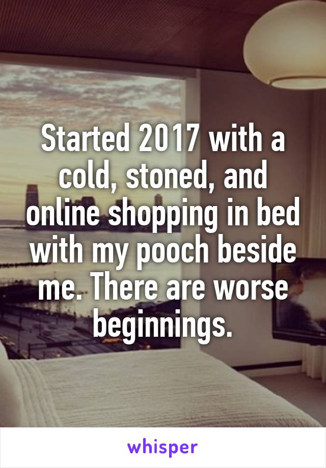 Started 2017 with a cold, stoned, and online shopping in bed with my pooch beside me. There are worse beginnings.