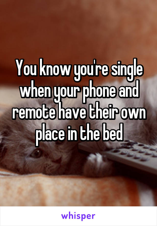 You know you're single when your phone and remote have their own place in the bed
