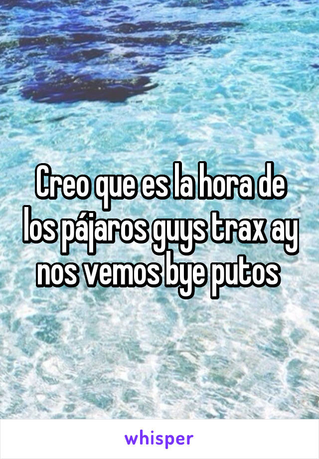 Creo que es la hora de los pájaros guys trax ay nos vemos bye putos 