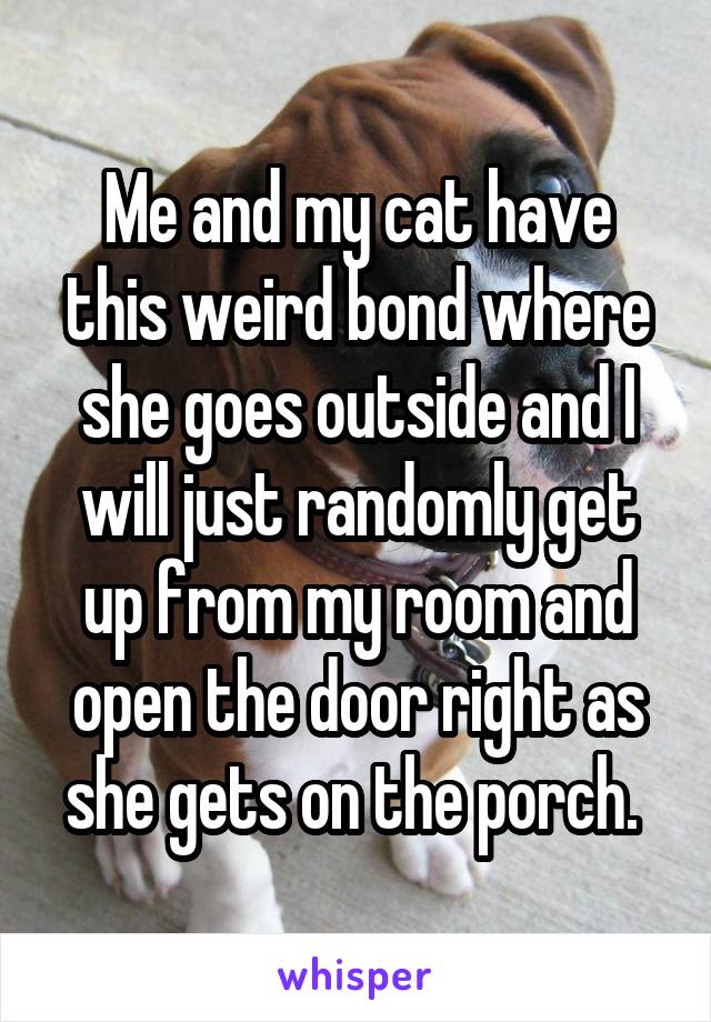 Me and my cat have this weird bond where she goes outside and I will just randomly get up from my room and open the door right as she gets on the porch. 